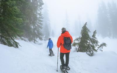Orthopedic Safety in Winter