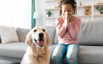 7 Tips to Allergy-Proof Your Home